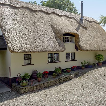 The Cottage Richards Castle 外观 照片